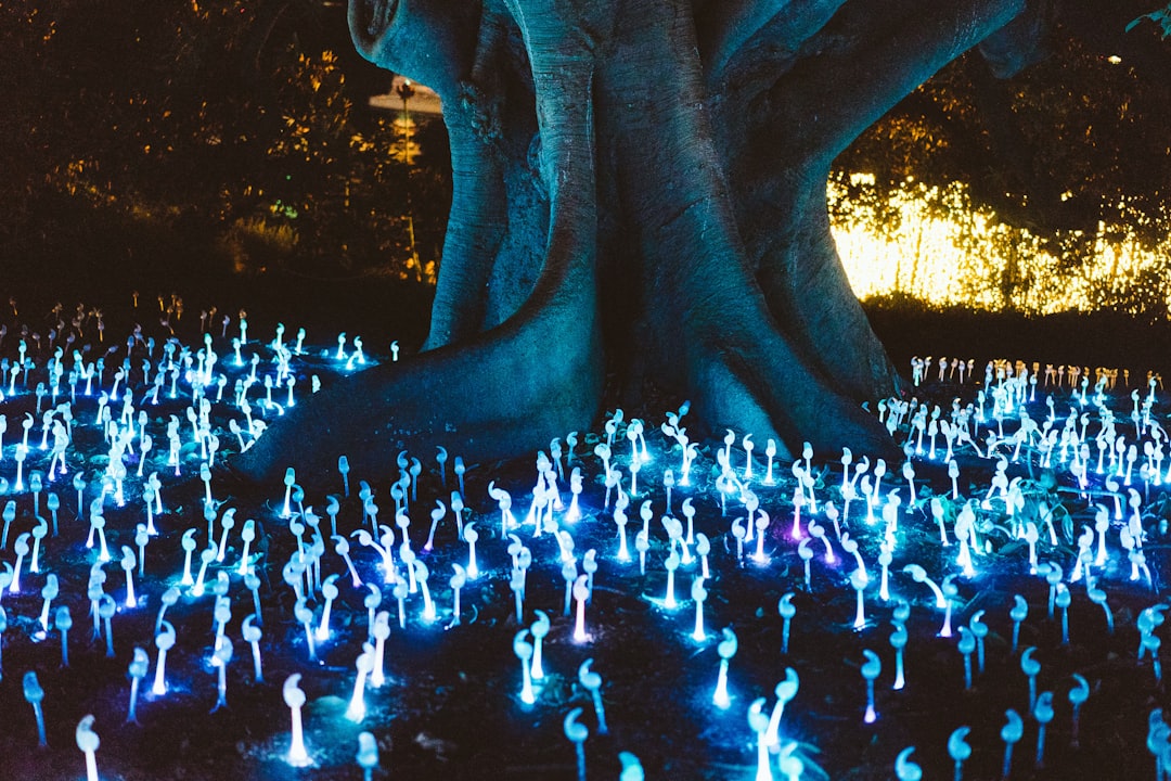 How to Elevate Your Consciousness with Magic Mushrooms Like Never Before